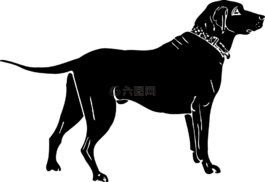 動(dòng)物,狗,哺乳動(dòng)物