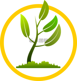 枝杈,成長(zhǎng),葉