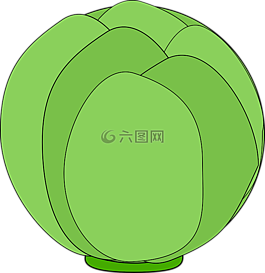 全球菊芋,朝鮮薊芽,薊芽
