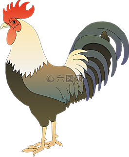 动物,稗,鸟