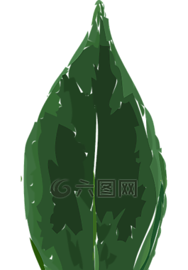 葉,植物,葉子