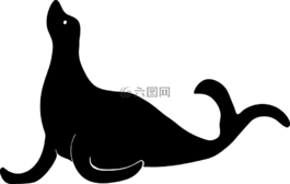 動(dòng)物,哺乳動(dòng)物,海洋