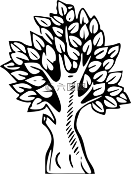樹(shù),森林,自然