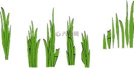 草,稻田,刀片