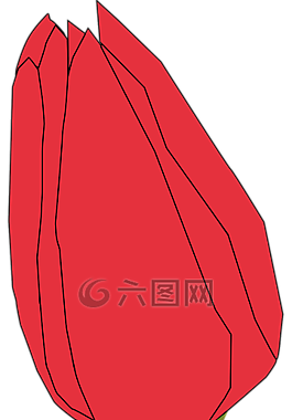 郁金香,花,芽
