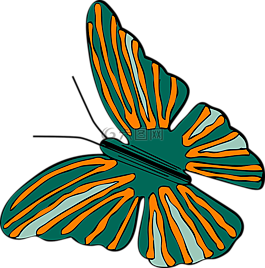 蝴蝶,甲蟲，昆蟲,bug