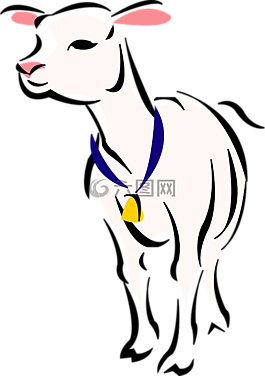 羊肉,羊,農(nóng)場(chǎng)