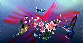 蜂鳥,鮮花,百合