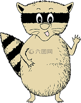 浣熊,動(dòng)物,哺乳動(dòng)物