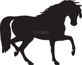 馬,阿拉伯,種馬