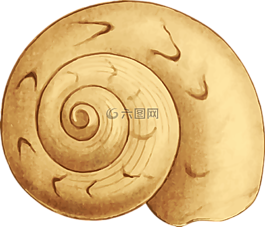 動(dòng)物,海灘,海洋