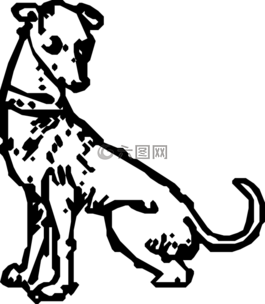 狗,動(dòng)物,哺乳動(dòng)物