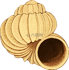 動(dòng)物,海灘,海洋