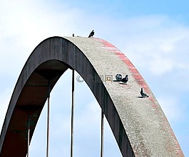 橋,拱,架構(gòu)