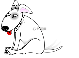 狗,動物,哺乳動物