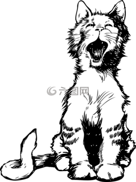 貓,小貓,meowing