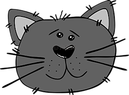 猫,愤怒,脸