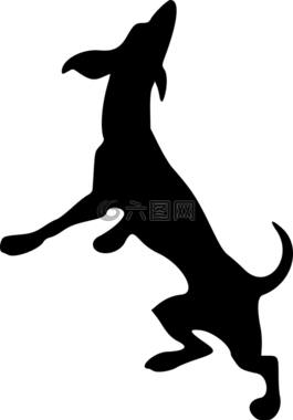 動物,狗,哺乳動物