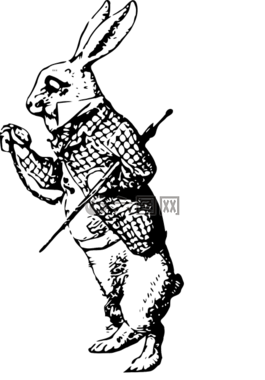 兔,動物,兔子