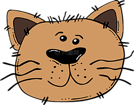 猫,愤怒,脸