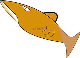 魚,鯊魚,捕食者