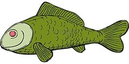 魚,綠色,水