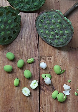 蓮花,種子,綠色
