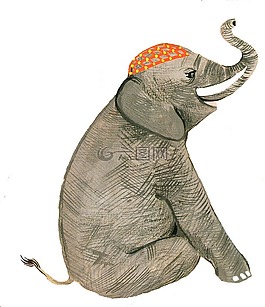 馬戲團(tuán),象,馴