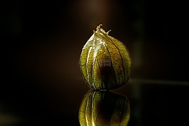 酸漿,宏,關(guān)閉