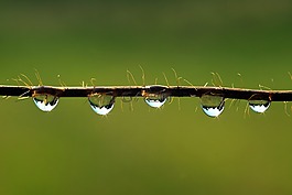 滴,鏡像,水