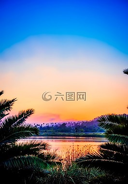 加利福尼亞州,景觀,棕櫚樹