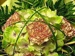 束鮮花,問候語,花束