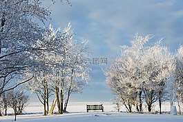 冬天,雪,寒冬