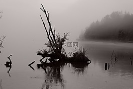 水,木,湖