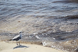 溶膠,小船,海灘