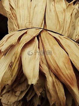叶塔马利,玉米田,cob