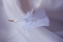 筆,白色,白色背景