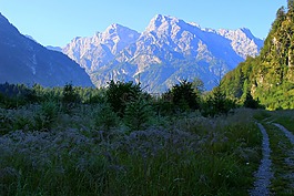 山,离,草地