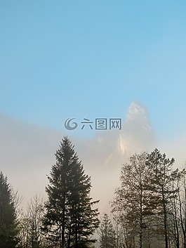 山,霧,樹