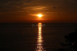 日落,紅色,海
