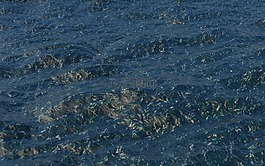 海,大自然,藍(lán)色的大海