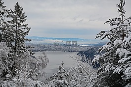雪,林西,奧地利