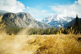 山,樹,草
