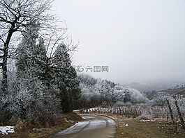 冬季景观,性质,霜林