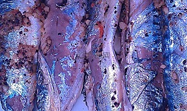 魚,鯖魚,香料