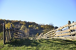 籬笆,鄉(xiāng)村,農(nóng)村