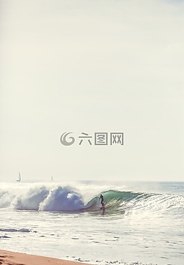海灘,波,沖浪