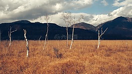 冬天,山,冷