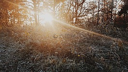 太阳,日出,伍兹