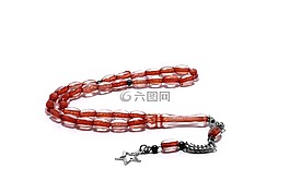 圣母玫瑰,紅玫瑰,明星